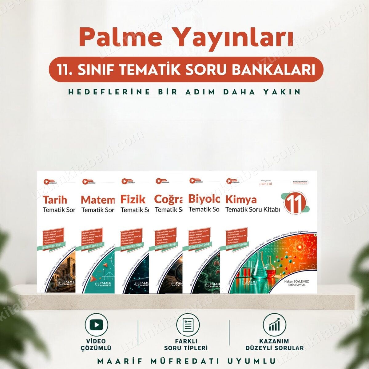 Palme Yayınları 11.Sınıf 2027 6 Kitap(M-F-K-B-T-C) %100 Yeni Müfredat Tematik Soru Bankası (Yeni Ürün) - Palme Yayınları kitap kapağı