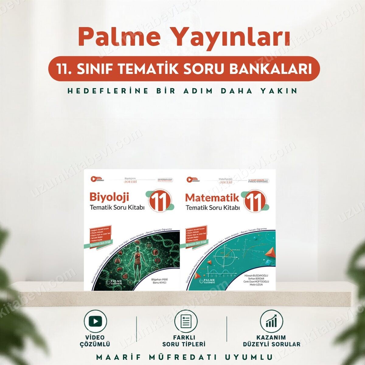 Palme Yayınları 11.Sınıf 2027 MATEMATİK-BİYOLOJİ 2 KİTAP %100 Yeni Müfredat Tematik Soru Bankası (Yeni Ürün) - Palme Yayınları kitap kapağı