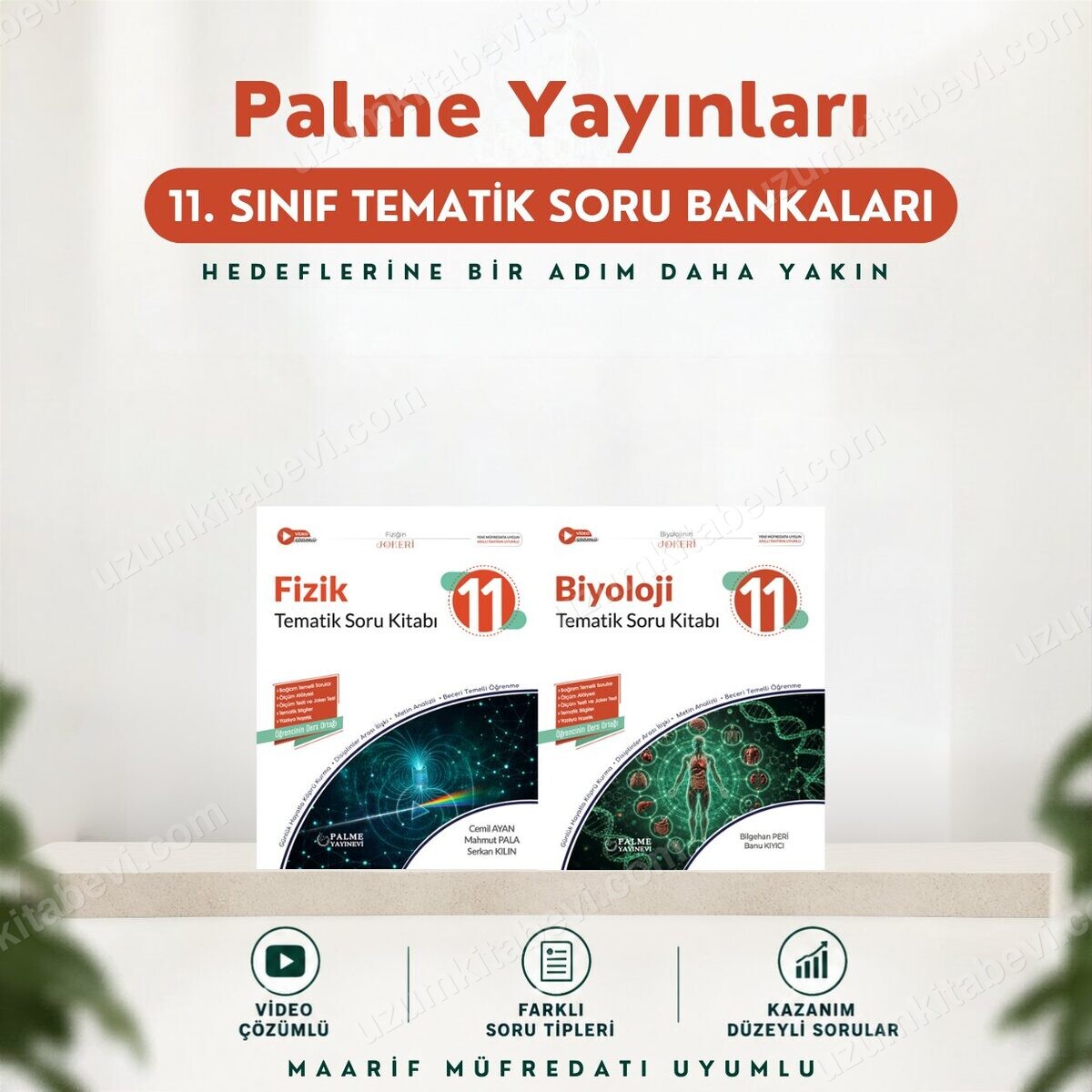 Palme Yayınları 11.Sınıf 2027 FİZİK-BİYOLOJİ 2 KİTAP %100 Yeni Müfredat Tematik Soru Bankası (Yeni Ürün) - Palme Yayınları kitap kapağı